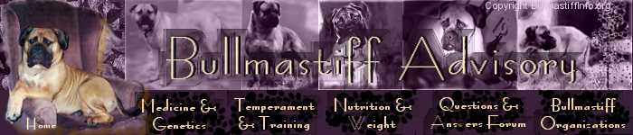 Bullmastiff Advisory - Bullmastiff Owner Support When You Need It!