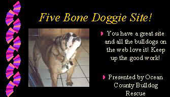 August 2000 Award presented by Ocean County Bulldog Rescue!  Click here to visit their website!