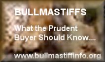 Bullmastiffs - What the Prudent Buyer Should Know...