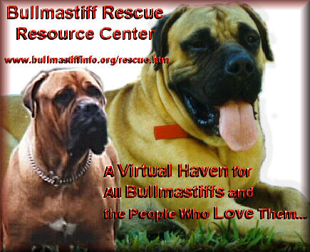 Bullmastiff Rescue Resource Center