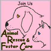 Animal Rescue & Foster Care Webring