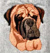 Red Bullmastiff Head - Click here for a closeup!